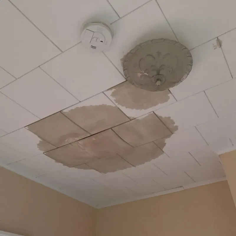 Ceiling Water Damage Repair in Cambridge, MA